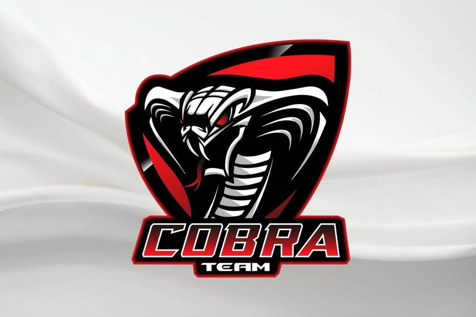 Cobra Team BJJ gym, Stary Oskol